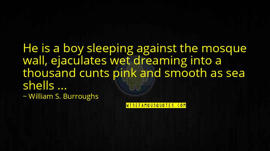 Cunts'll Quotes By William S. Burroughs: He is a boy sleeping against the mosque