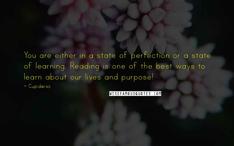 Cupideros quotes: You are either in a state of perfection or a state of learning. Reading is one of the best ways to learn about our lives and purpose!