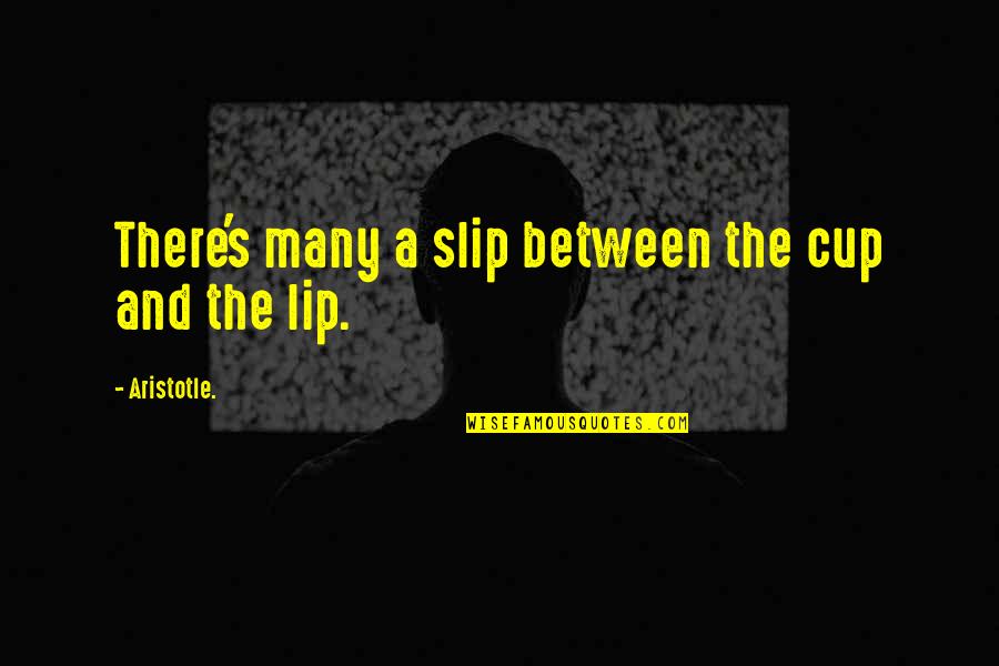 Cups Quotes By Aristotle.: There's many a slip between the cup and