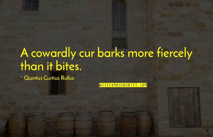 Cur Quotes By Quintus Curtius Rufus: A cowardly cur barks more fiercely than it Cur Quotes By Quintus Curtius Rufus: A cowardly cur barks more fiercely than it