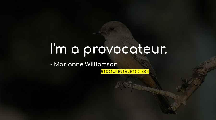 Curae Quotes By Marianne Williamson: I'm a provocateur.