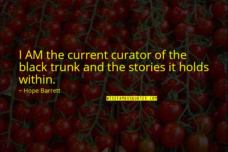 Curator Quotes By Hope Barrett: I AM the current curator of the black