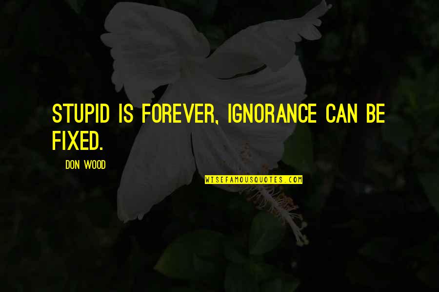 Curb Palestinian Chicken Quotes By Don Wood: Stupid is forever, ignorance can be fixed.