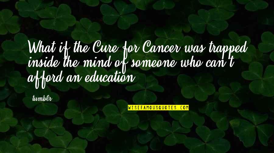 Cure Cancer Quotes By Tumblr: What if the Cure for Cancer was trapped