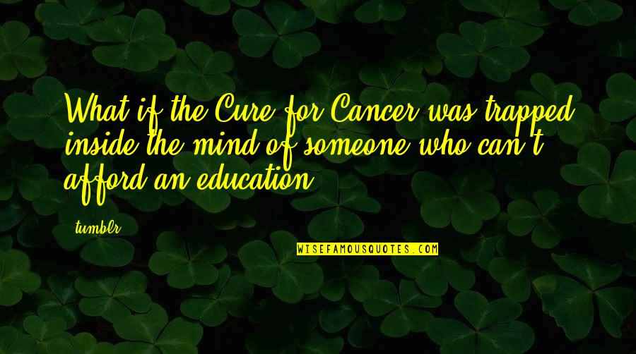 Cure For Cancer Quotes By Tumblr: What if the Cure for Cancer was trapped