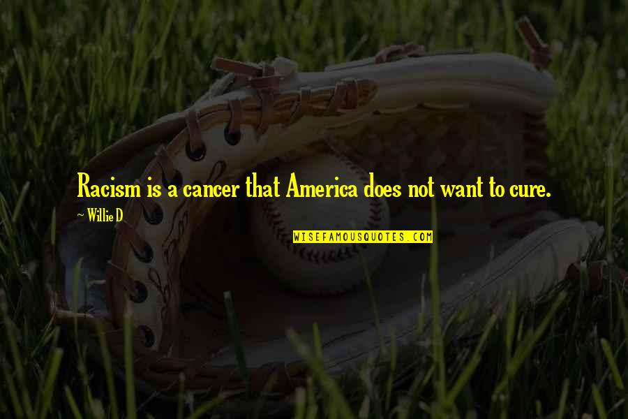 Cure For Cancer Quotes By Willie D: Racism is a cancer that America does not