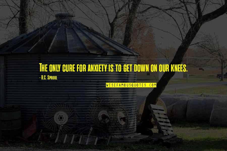 Cure Quotes By R.C. Sproul: The only cure for anxiety is to get