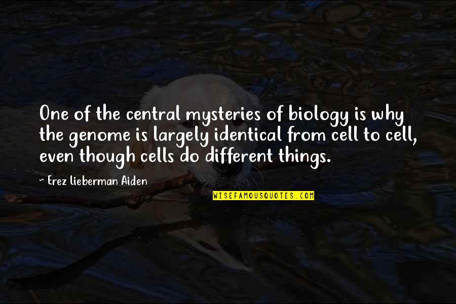 Cureight Quotes By Erez Lieberman Aiden: One of the central mysteries of biology is Cureight Quotes By Erez Lieberman Aiden: One of the central mysteries of biology is