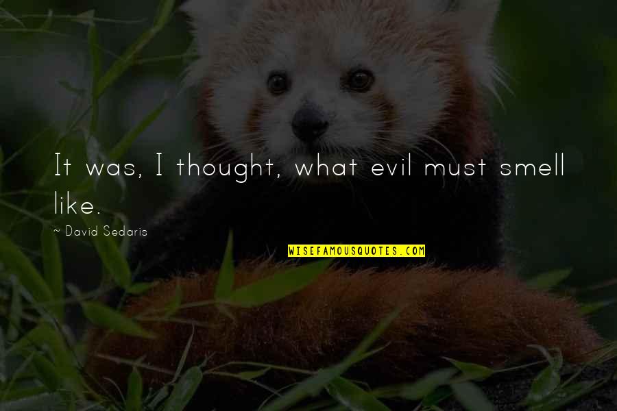 Curhan Md Quotes By David Sedaris: It was, I thought, what evil must smell Curhan Md Quotes By David Sedaris: It was, I thought, what evil must smell