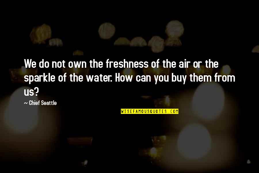 Curiosamente Porque Quotes By Chief Seattle: We do not own the freshness of the