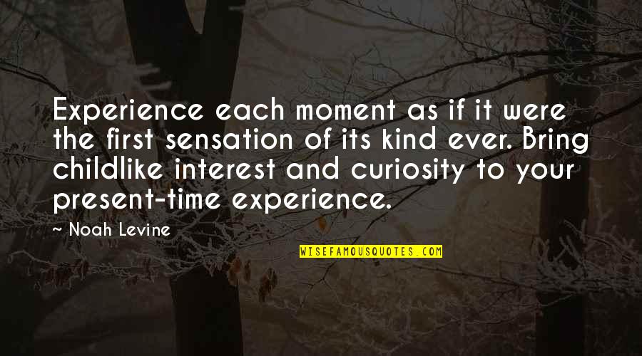 Curiosity And Quotes By Noah Levine: Experience each moment as if it were the