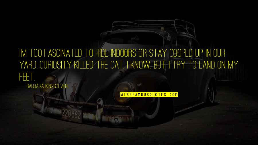 Curiosity Killed The Cat Quotes By Barbara Kingsolver: I'm too fascinated to hide indoors or stay Curiosity Killed The Cat Quotes By Barbara Kingsolver: I'm too fascinated to hide indoors or stay