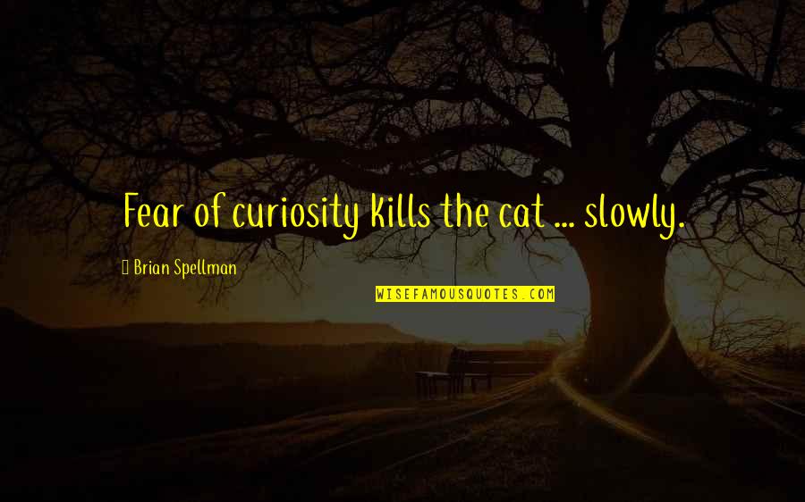 Curiosity Killed The Cat Quotes By Brian Spellman: Fear of curiosity kills the cat ... slowly. Curiosity Killed The Cat Quotes By Brian Spellman: Fear of curiosity kills the cat ... slowly.