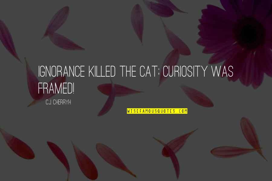 Curiosity Killed The Cat Quotes By C.J. Cherryh: Ignorance killed the cat; curiosity was framed!