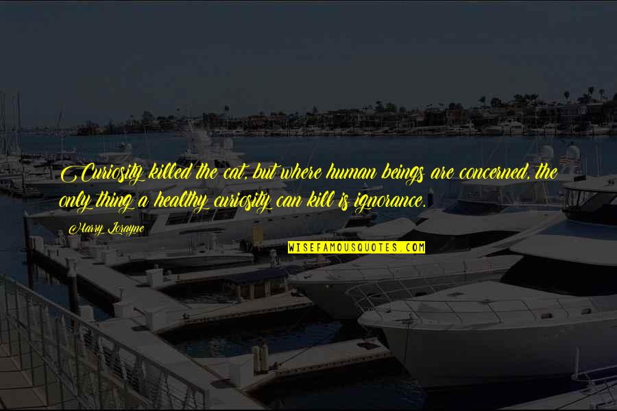Curiosity Killed The Cat Quotes By Harry Lorayne: Curiosity killed the cat, but where human beings Curiosity Killed The Cat Quotes By Harry Lorayne: Curiosity killed the cat, but where human beings