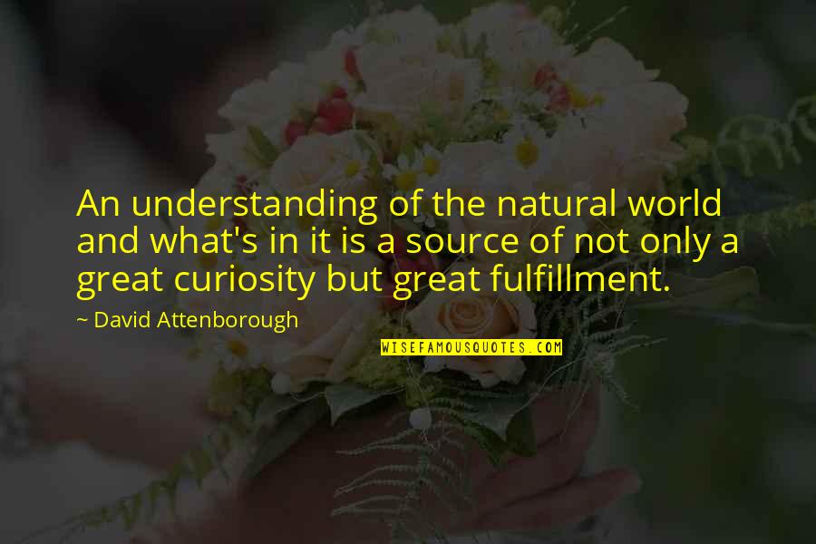 Curiosity's Quotes By David Attenborough: An understanding of the natural world and what's