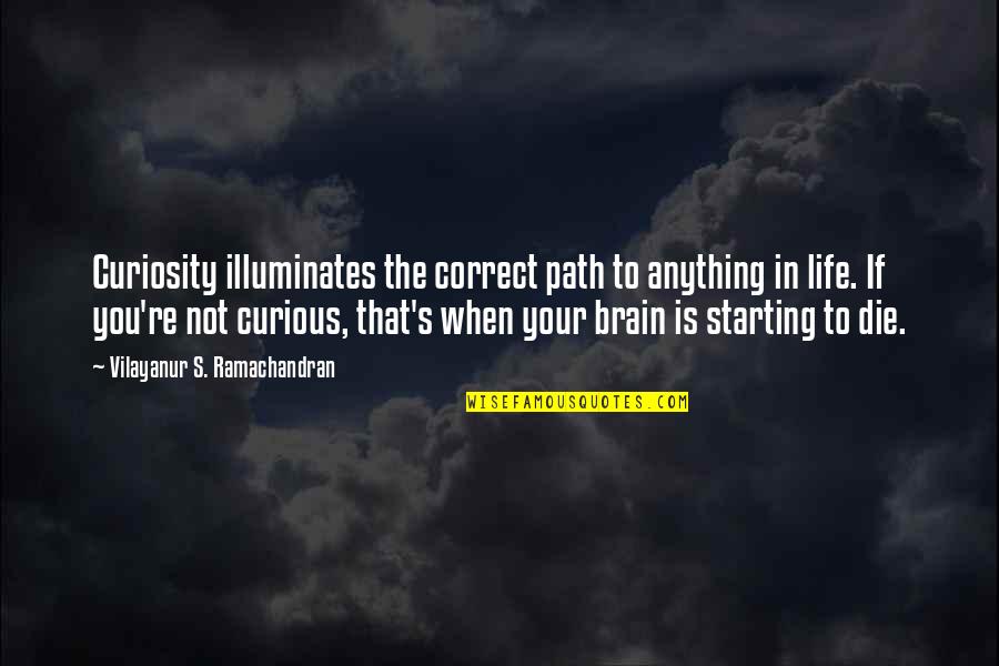 Curiosity's Quotes By Vilayanur S. Ramachandran: Curiosity illuminates the correct path to anything in