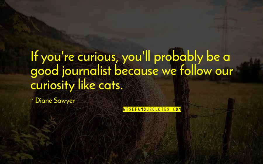 Curious Cats Quotes By Diane Sawyer: If you're curious, you'll probably be a good