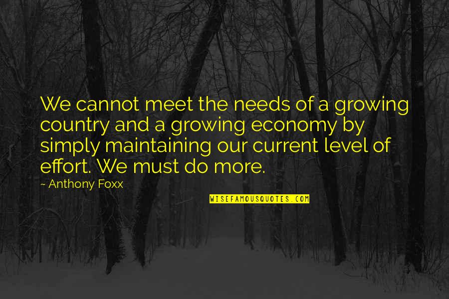 Current Economy Quotes By Anthony Foxx: We cannot meet the needs of a growing