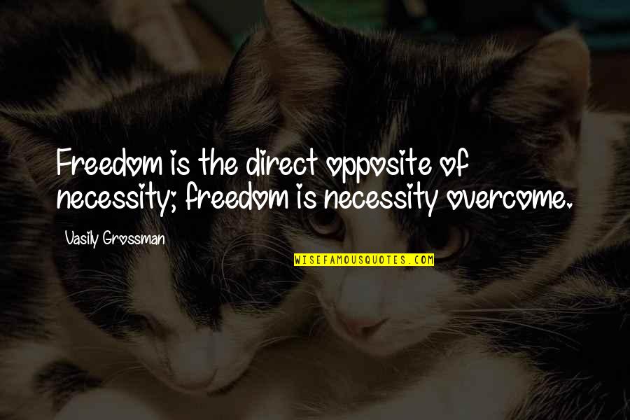 Curried Cauliflower Quotes By Vasily Grossman: Freedom is the direct opposite of necessity; freedom