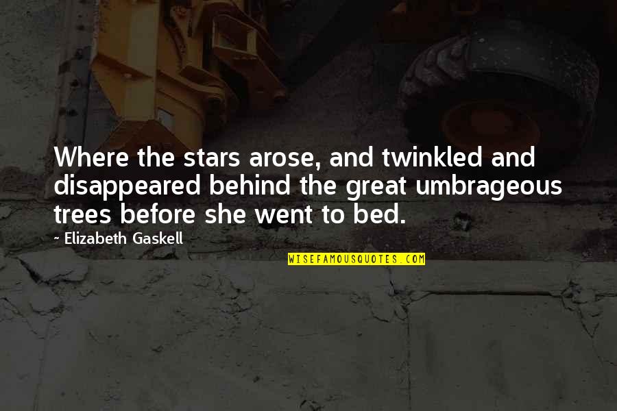Currin Moeller Quotes By Elizabeth Gaskell: Where the stars arose, and twinkled and disappeared