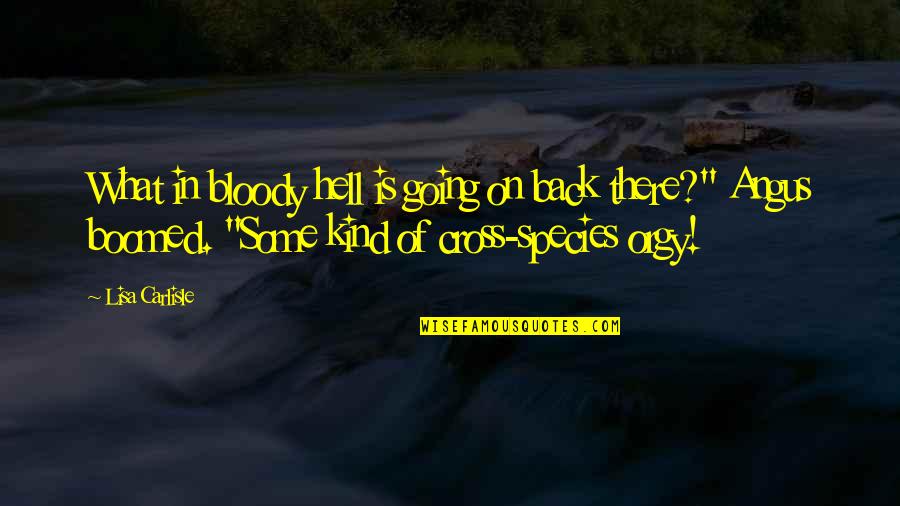 Curse Of The Black Spot Quotes By Lisa Carlisle: What in bloody hell is going on back Curse Of The Black Spot Quotes By Lisa Carlisle: What in bloody hell is going on back