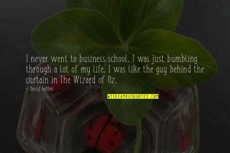 Curtain Quotes By David Geffen: I never went to business school. I was