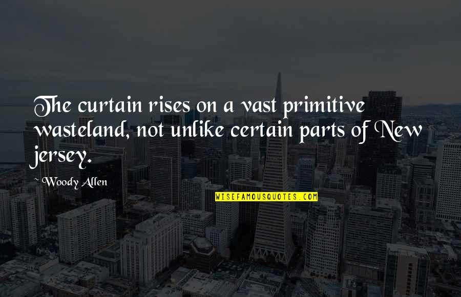 Curtain Quotes By Woody Allen: The curtain rises on a vast primitive wasteland,