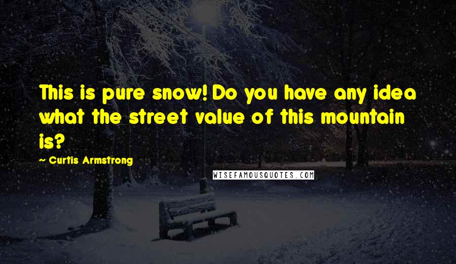 Curtis Armstrong quotes: This is pure snow! Do you have any idea what the street value of this mountain is?