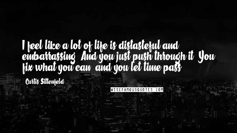 Curtis Sittenfeld quotes: I feel like a lot of life is distasteful and embarrassing. And you just push through it. You fix what you can, and you let time pass.