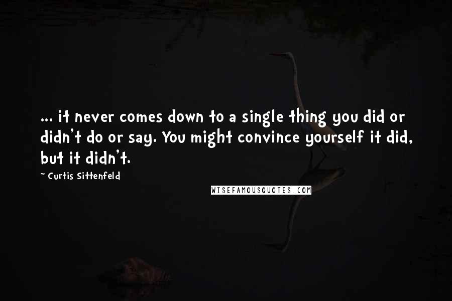 Curtis Sittenfeld quotes: ... it never comes down to a single thing you did or didn't do or say. You might convince yourself it did, but it didn't.