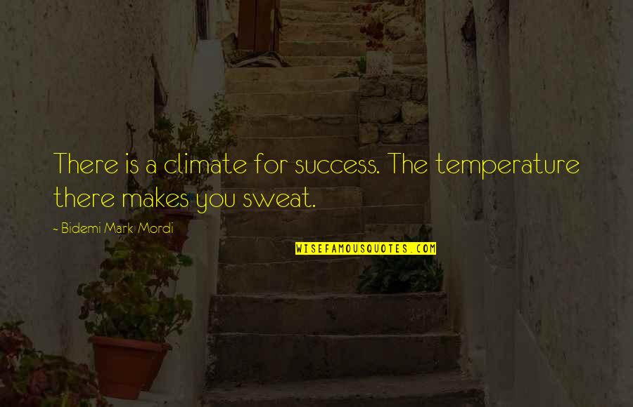Curtsying Cartoon Quotes By Bidemi Mark-Mordi: There is a climate for success. The temperature