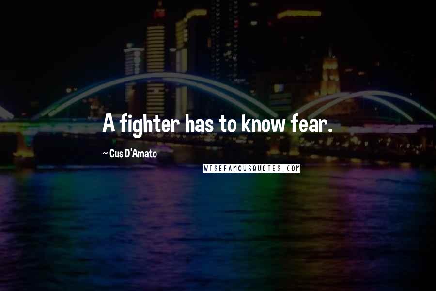 Cus D'Amato quotes: A fighter has to know fear.