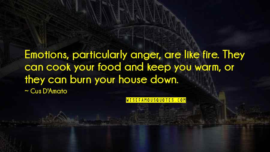 Cus D'amato Quotes By Cus D'Amato: Emotions, particularly anger, are like fire. They can