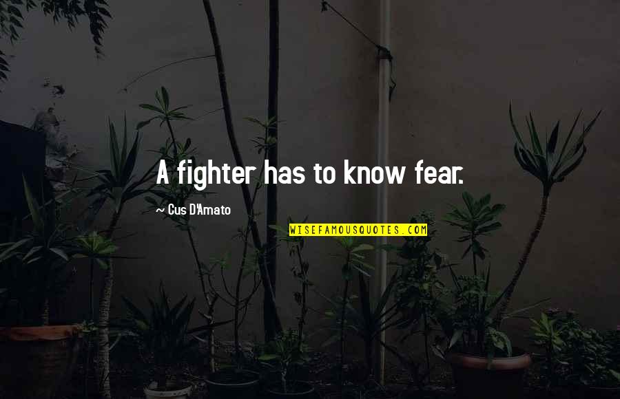Cus D'amato Quotes By Cus D'Amato: A fighter has to know fear.