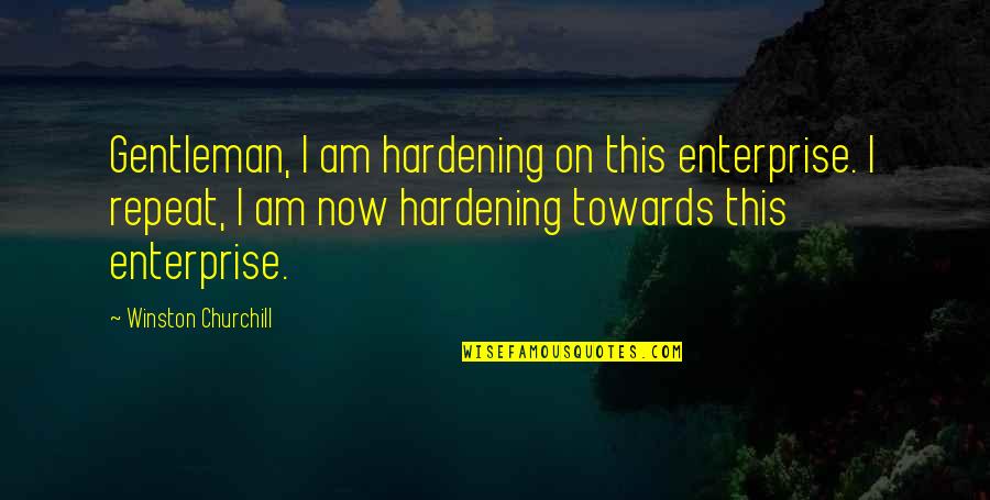 Cuscino Portafedi Quotes By Winston Churchill: Gentleman, I am hardening on this enterprise. I Cuscino Portafedi Quotes By Winston Churchill: Gentleman, I am hardening on this enterprise. I