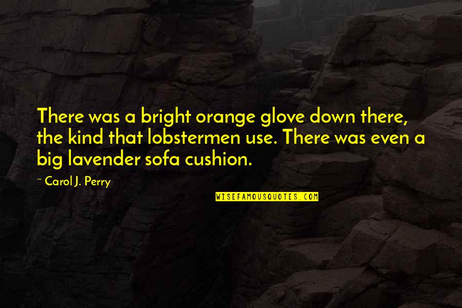 Cushion Quotes By Carol J. Perry: There was a bright orange glove down there,