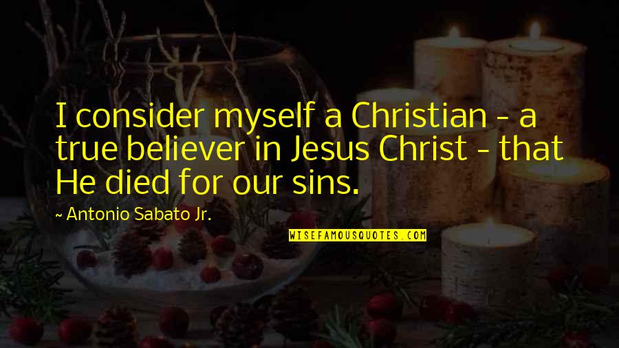 Cushion Wisdom Quotes By Antonio Sabato Jr.: I consider myself a Christian - a true