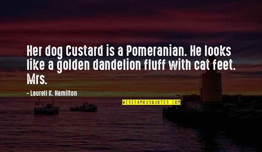 Custard Quotes By Laurell K. Hamilton: Her dog Custard is a Pomeranian. He looks