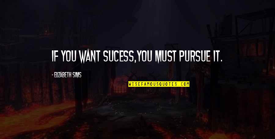Custodire In Inglese Quotes By Elizabeth Sims: If you want sucess,you must pursue it.