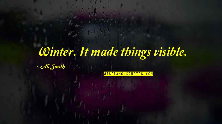 Customer Mania Quotes By Ali Smith: Winter. It made things visible.