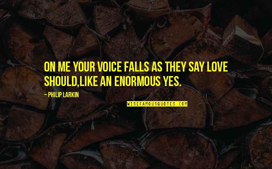 Customer Ownership Quotes By Philip Larkin: On me your voice falls as they say