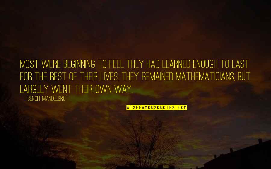 Customer Service Advice Quotes By Benoit Mandelbrot: Most were beginning to feel they had learned