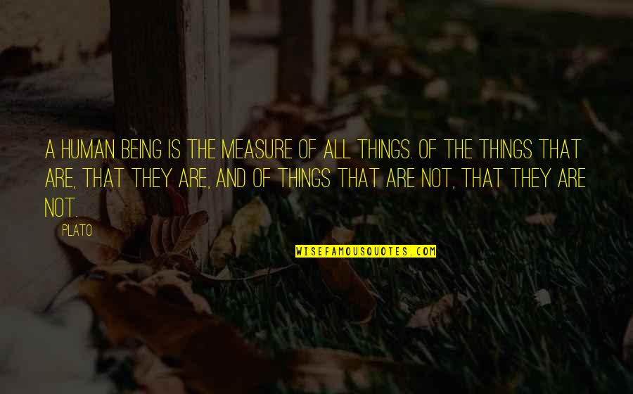 Cut The Middleman Quotes By Plato: a human being is the measure of all Cut The Middleman Quotes By Plato: a human being is the measure of all