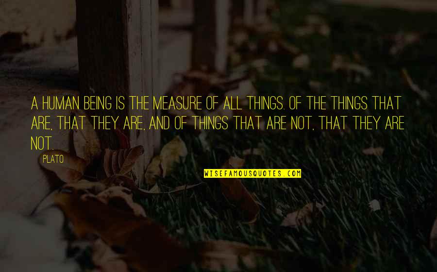 Cut The Middleman Quotes By Plato: a human being is the measure of all