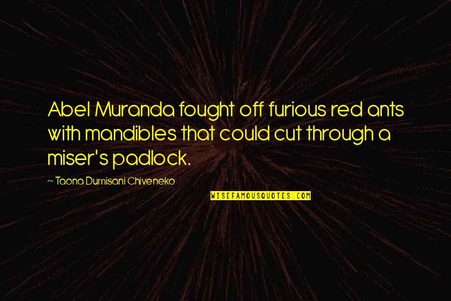 Cut Through Quotes By Taona Dumisani Chiveneko: Abel Muranda fought off furious red ants with