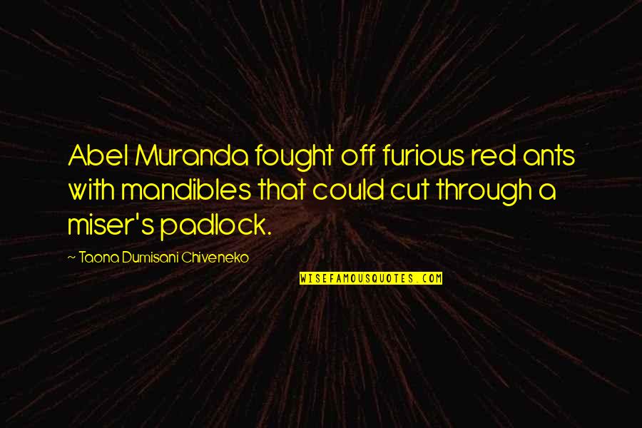 Cut Through Quotes By Taona Dumisani Chiveneko: Abel Muranda fought off furious red ants with Cut Through Quotes By Taona Dumisani Chiveneko: Abel Muranda fought off furious red ants with