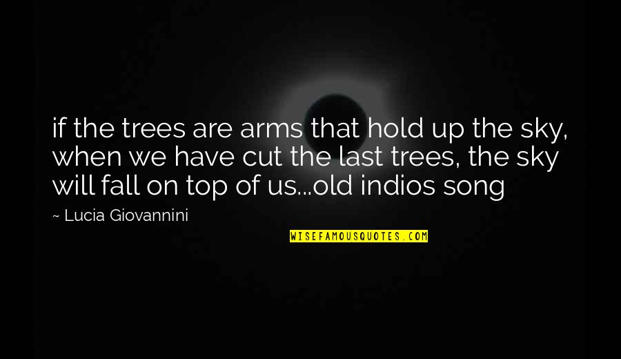 Cut Up Quotes By Lucia Giovannini: if the trees are arms that hold up