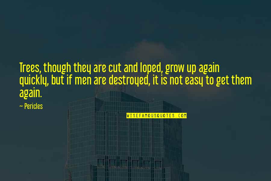 Cut Up Quotes By Pericles: Trees, though they are cut and loped, grow