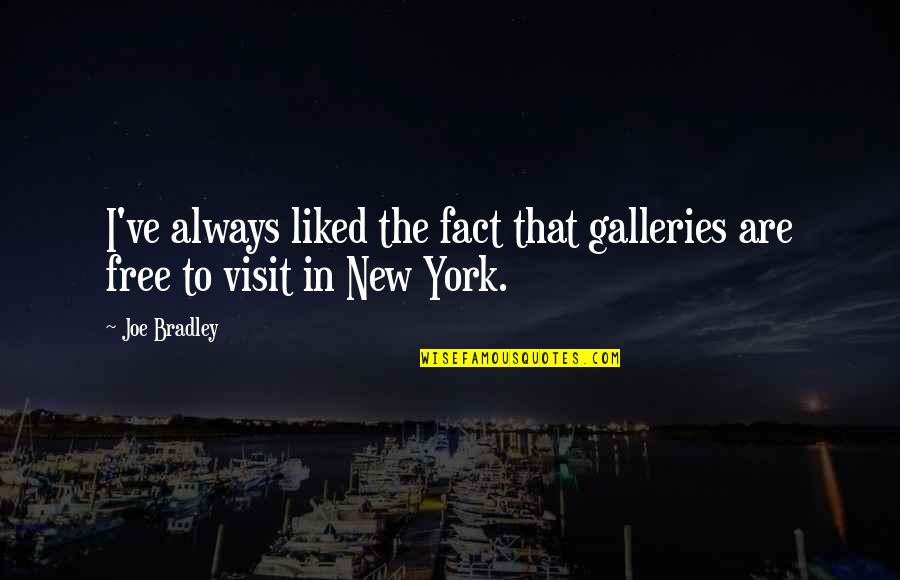 Cute 1 Sentence Quotes By Joe Bradley: I've always liked the fact that galleries are